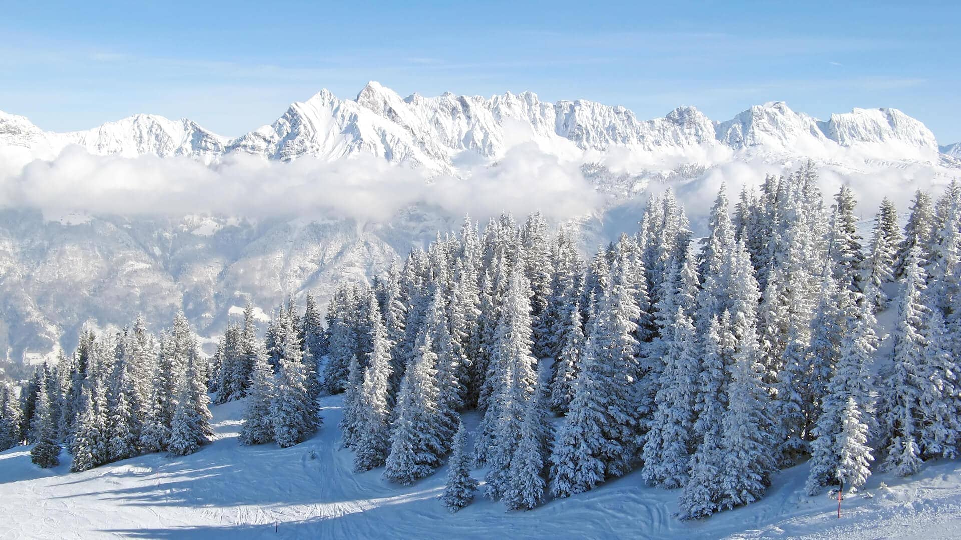 Vue des alpes enneigés