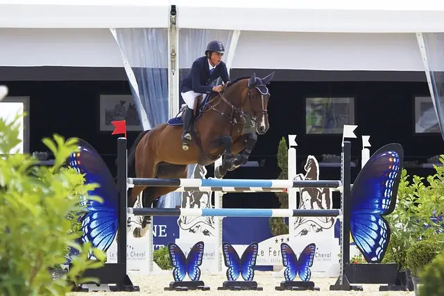 Jumping à Megève : photo d'un cheval sautant un obstacle